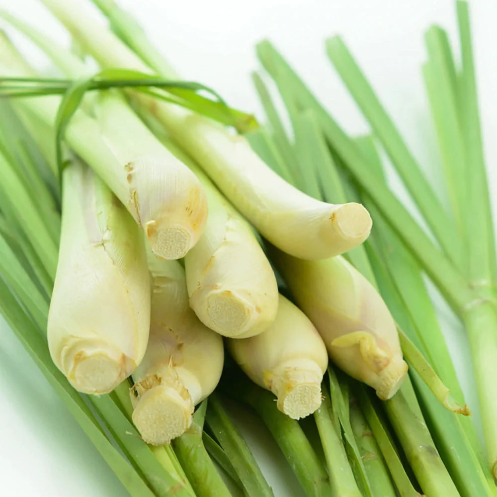 Lemongrass Scent