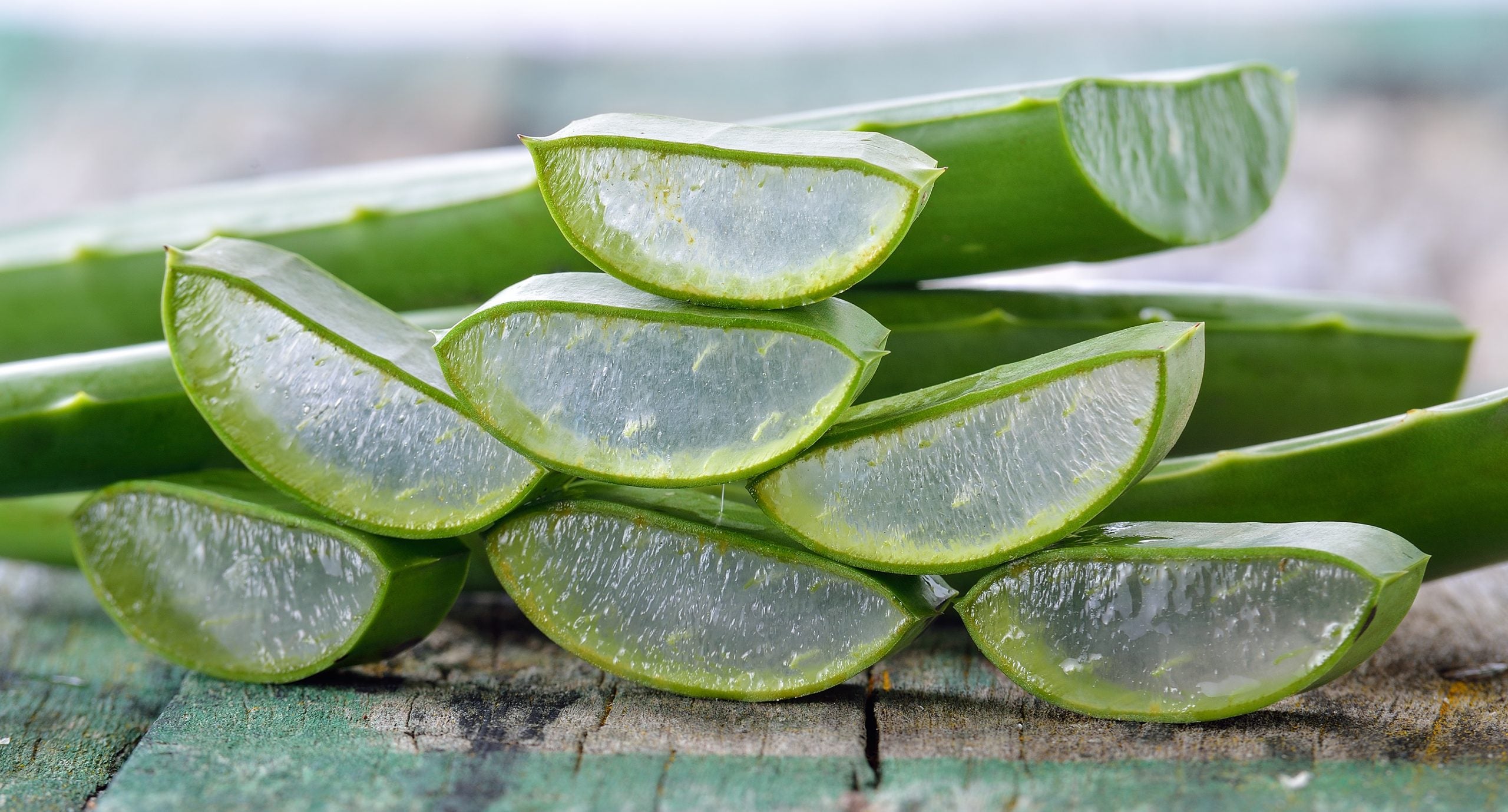 Aloe Vera Scent