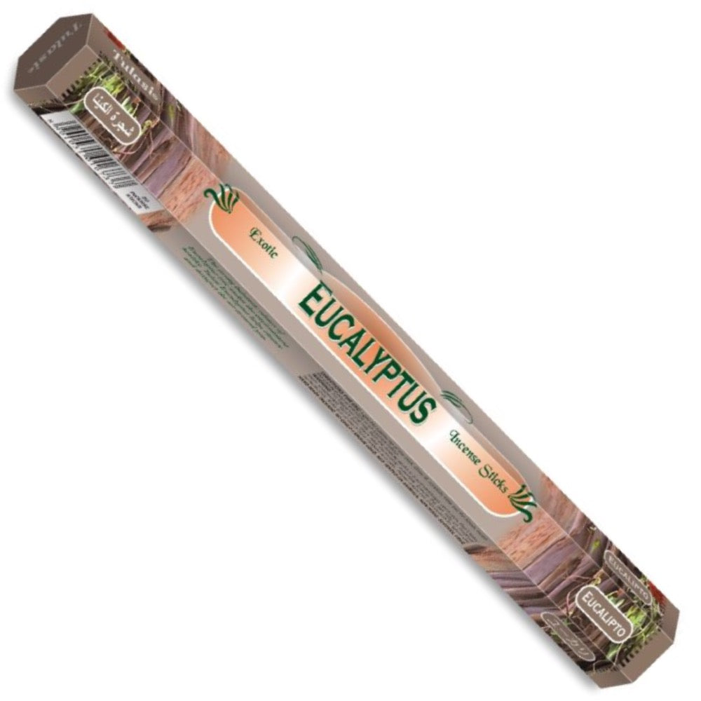 Eucalyptus