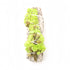 1 bunch Smudge Stick - White Sage with Green forget-me-not