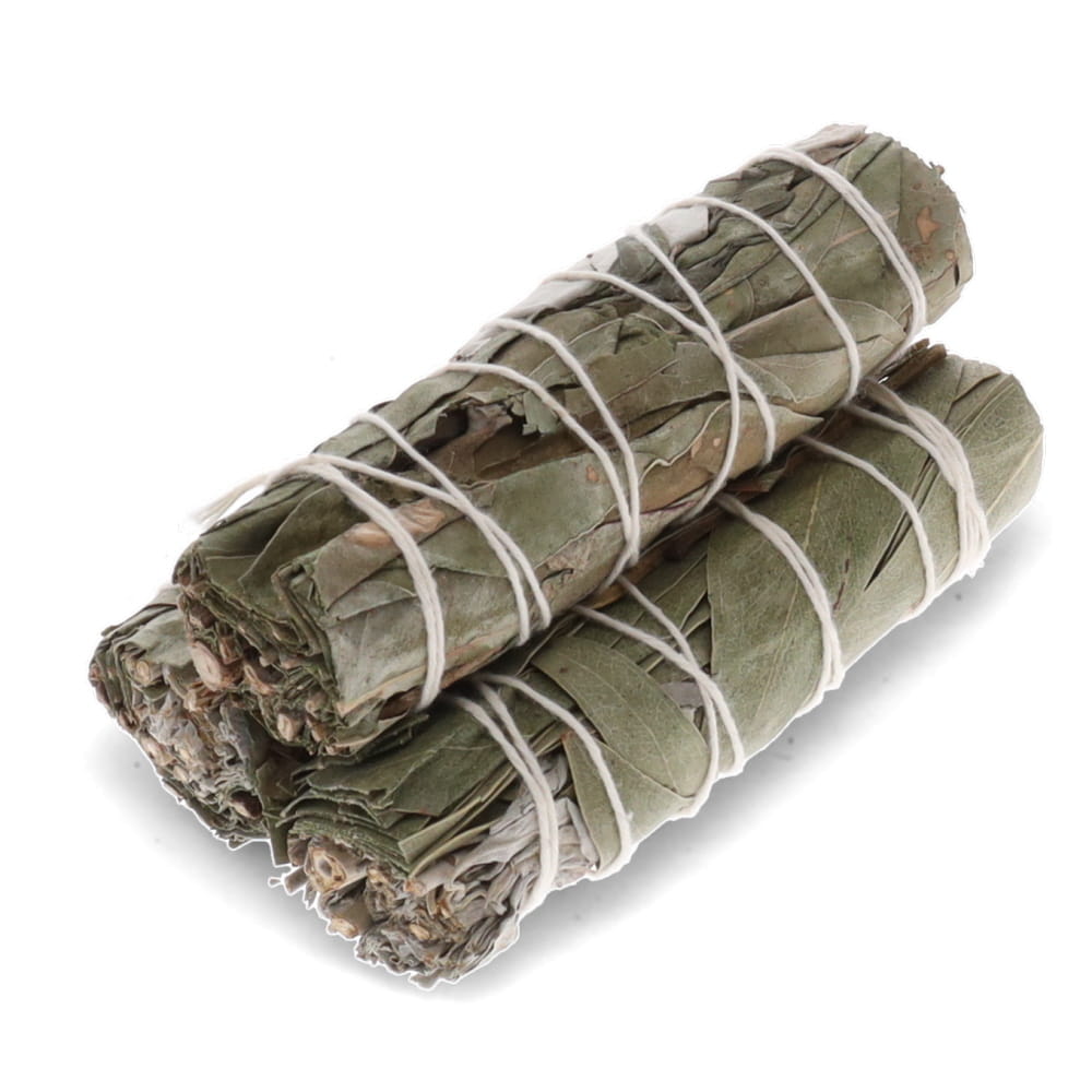 1 bunch SMUDGE STICK - White Sage and Eucalyptus 10cm