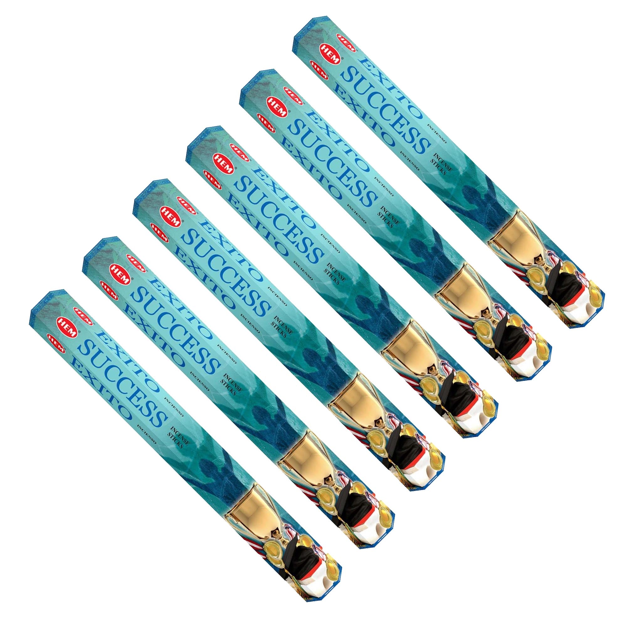 HEM - Hexagon - Success Incense Sticks